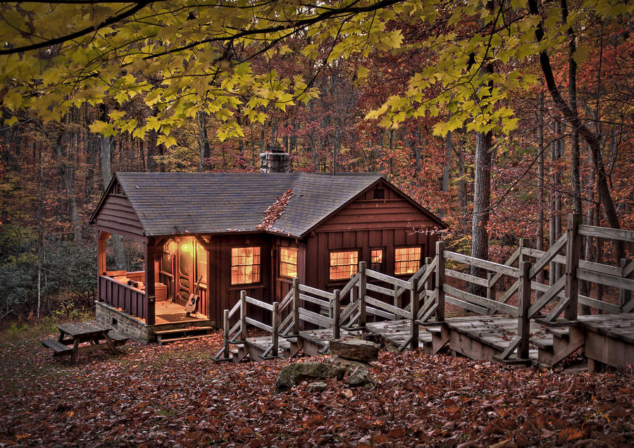 cabin-in-the-woods-williams-cairns-photography-llc.jpg