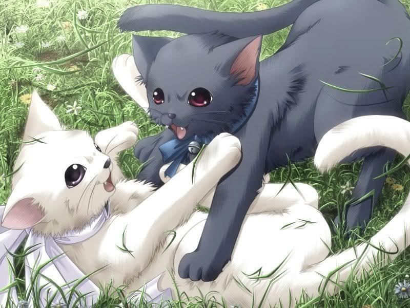 cats-anime-animal-6657215-800-600.jpg