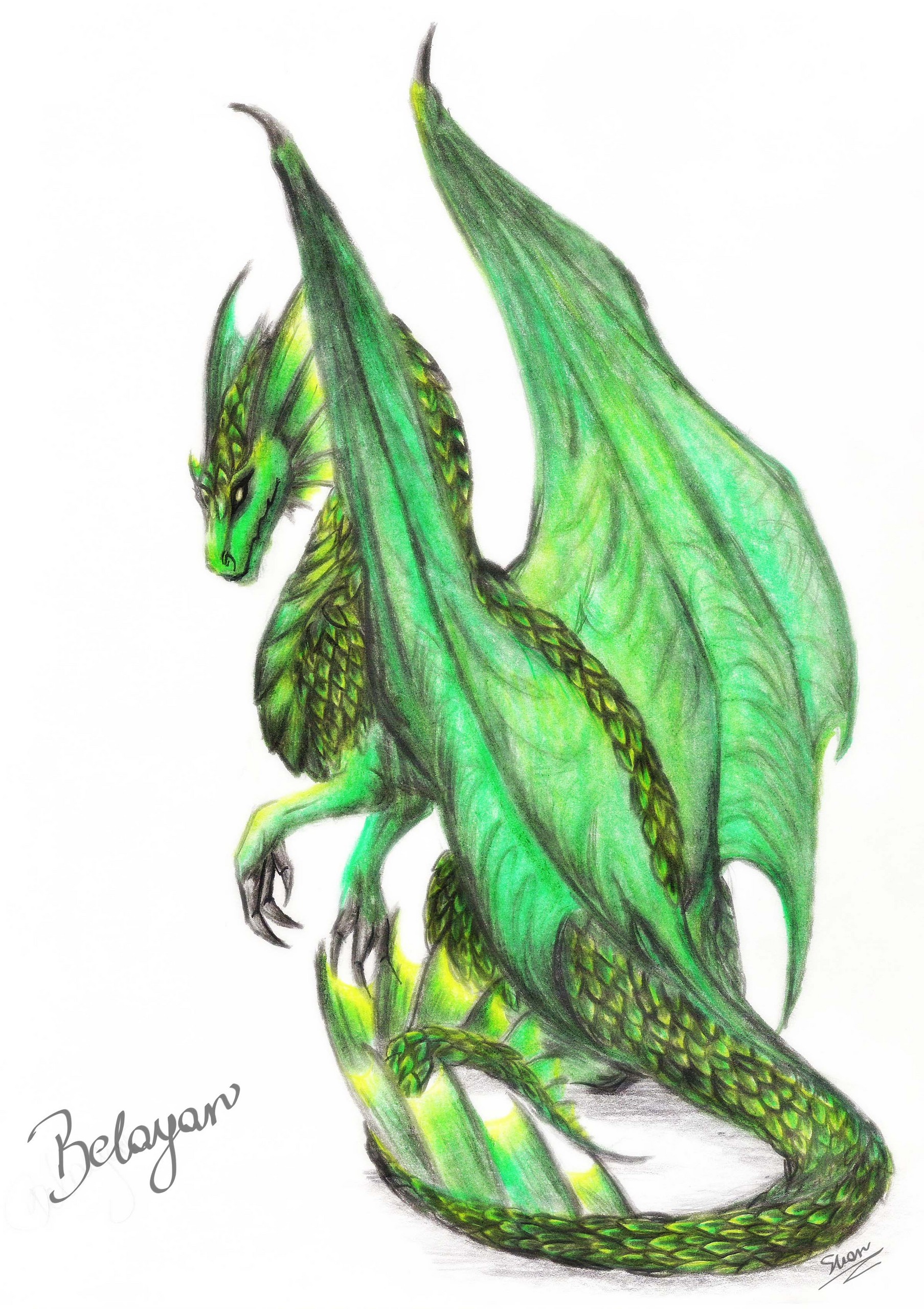 beautiful-green-dragon-dragons-31477502-1807-2560.jpg