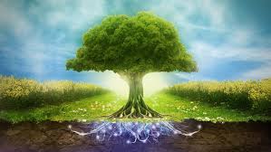 Go-magical-tree-our-environment-37557537-299-168.jpg