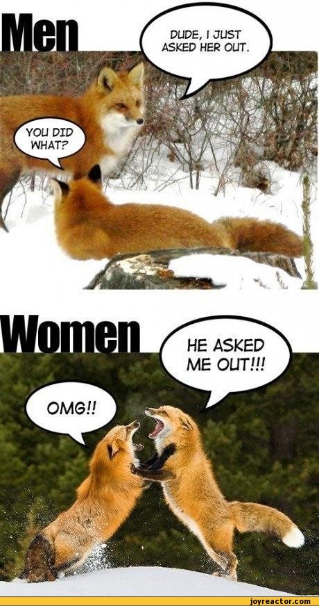 funny-pictures-auto-girls-vs-boys-fox-476511.jpeg