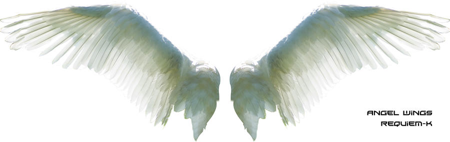 hq_angel_wings_render_by_requiem_k.jpg