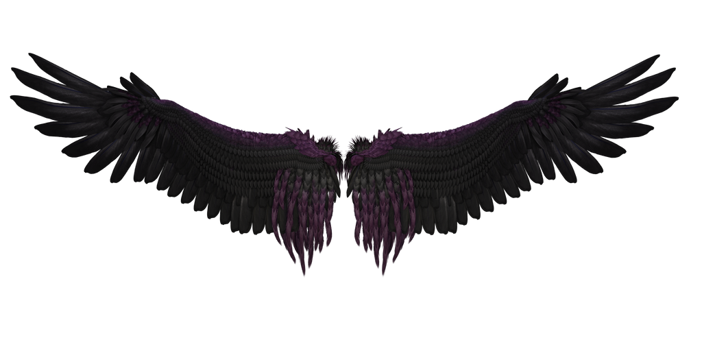 dreamy_black_purple_wings_3_by_gatterwe-d8njpnc.png