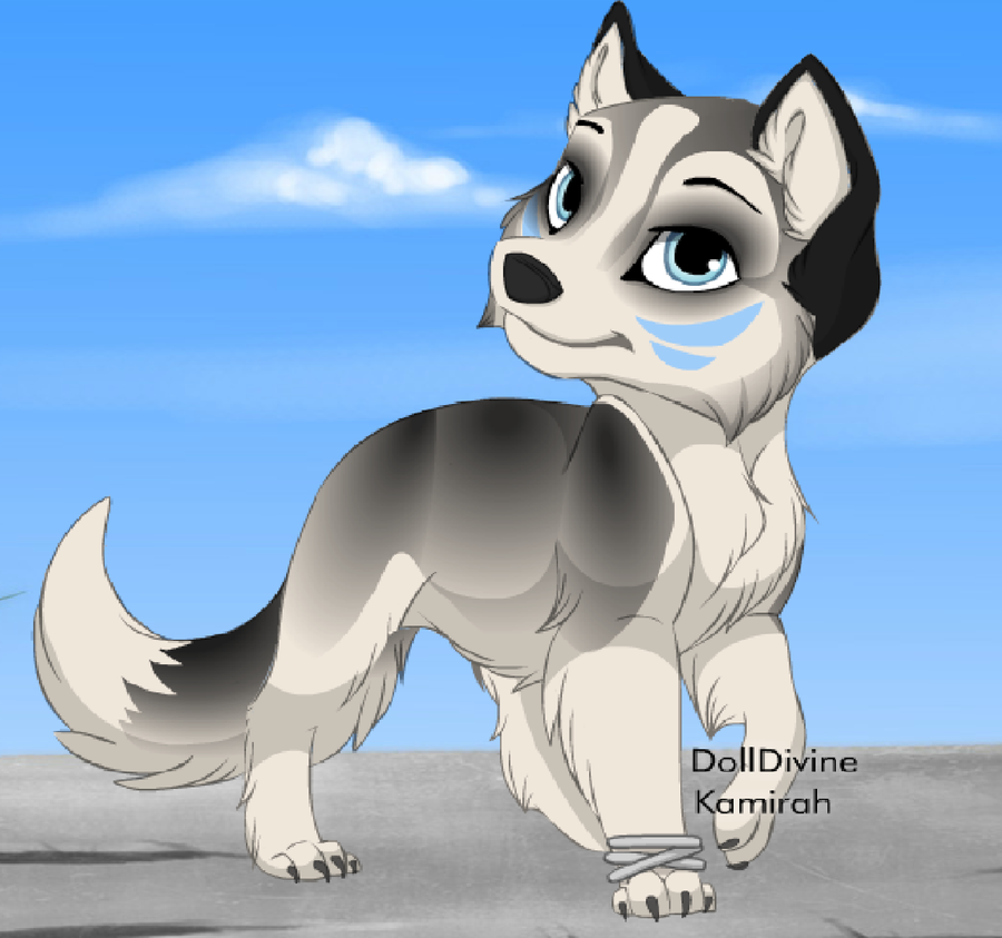 me_as_husky_wolf_puppy_by_wolvesforever122-d5b900h.png