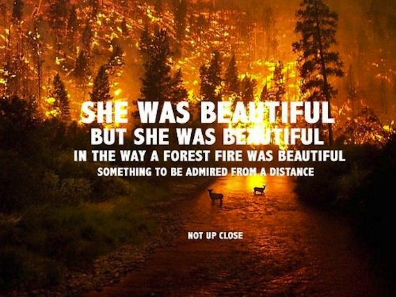 Forest-Fire-Beauty.jpeg