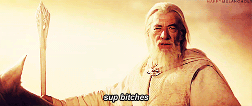 Gandalf-Greets-His-Fellow-Warriors-In-Lord-Of-The-Rings-GIf.gif