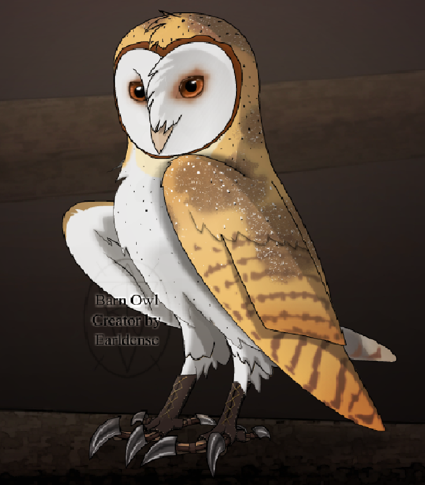 shard_the_barn_owl_by_king_coryn101-d58woet.png