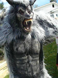 werewolf_halloween_costume_by_themaskmandan.jpg