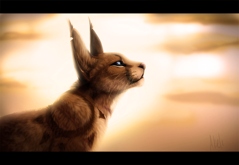 toward_the_sun_by_akeli-d4cmbsf.png