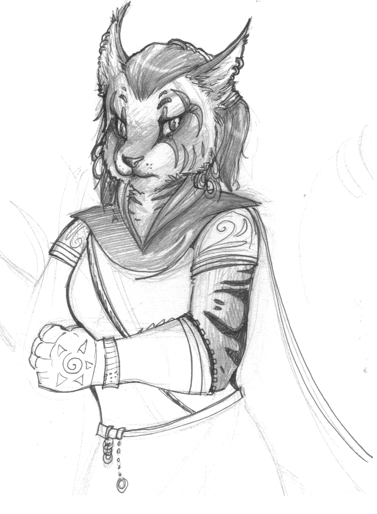 khajiit_lady_by_iinvisiblespray-d4h7tst.png