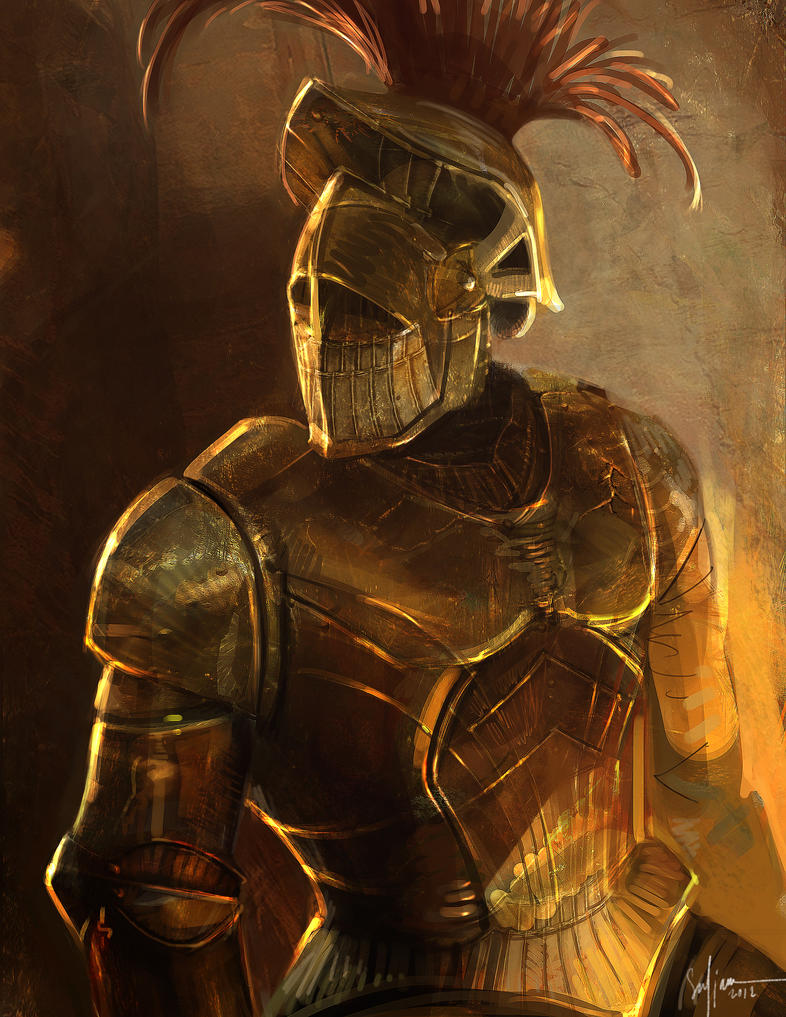 the_mysterious_knight_by_the_ronin_artist-d5s4954.jpg