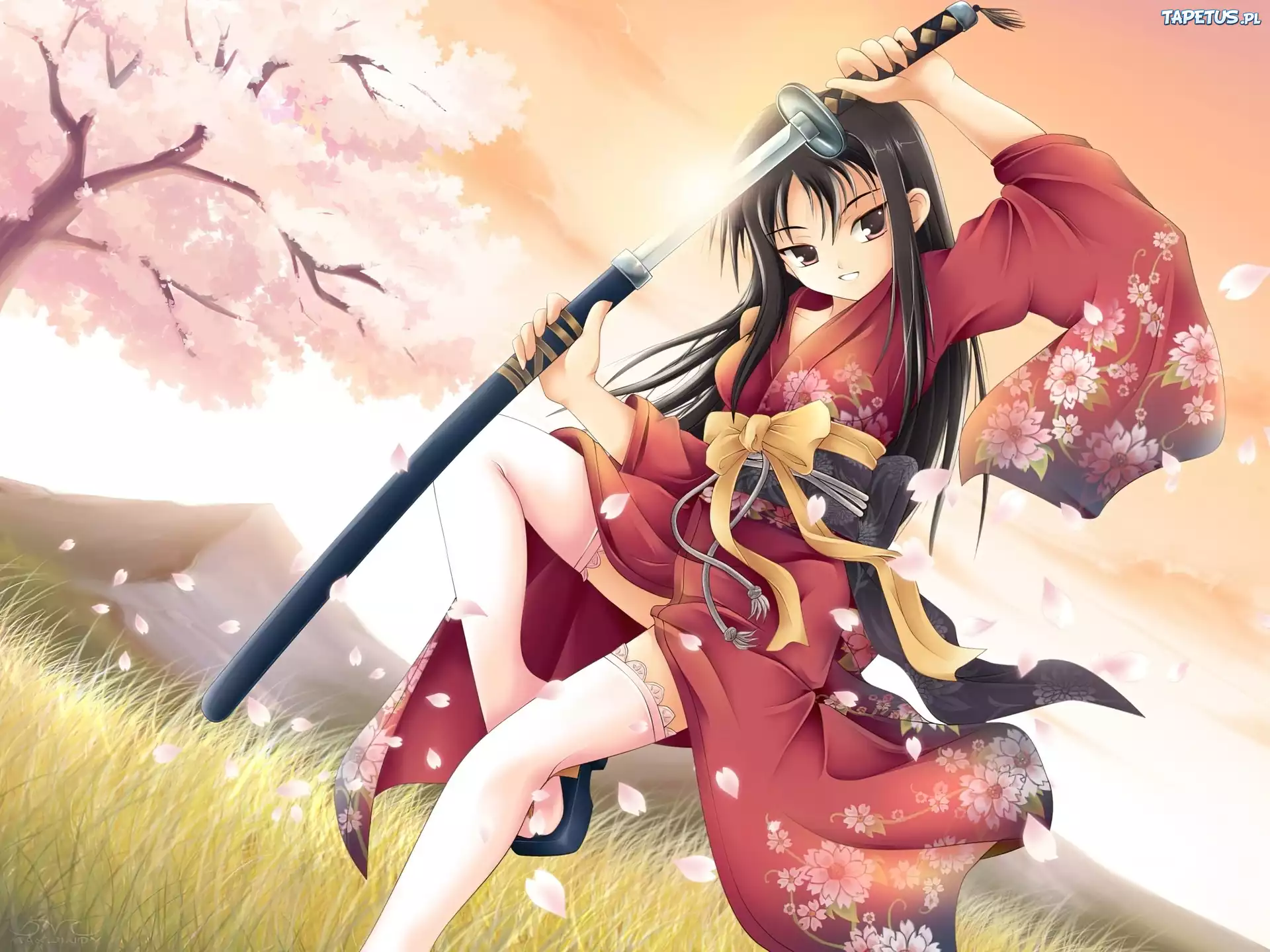 80792_kimono-dziewczyna-miecz.jpg