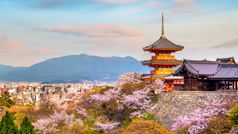 Kiyomizu-dera-Temple-and-cherry-blossom-season-Sakura-spring-time-in-Kyoto-Japan-_1017748333.jpg