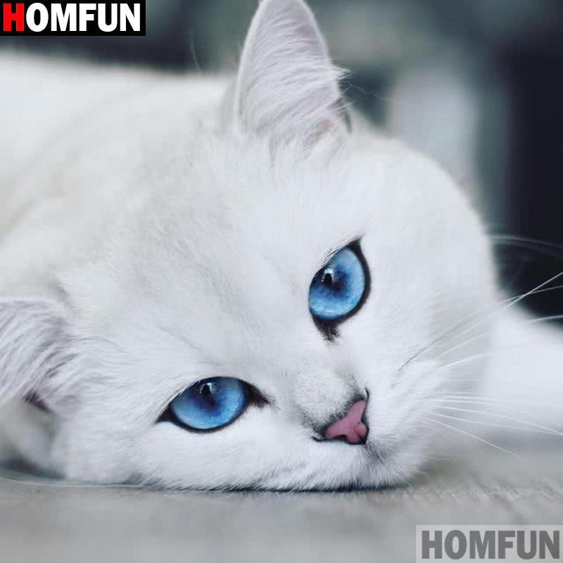 5d-diamond-painting-white-cat-with-blue-eyes-kit-6601732096103_1024x1024.jpg