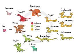 What kind of dragon is it? : coolguides