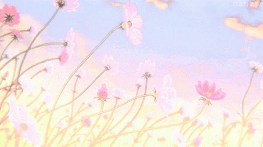 aesthetic-background-498-x-278-gif-bl8oqf58aa1vpfqr.gif