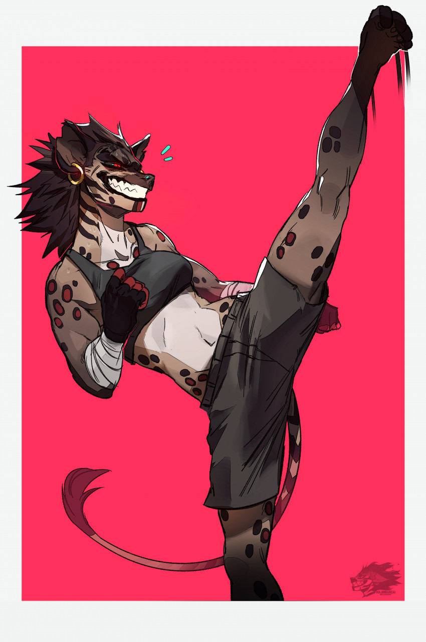 hyena-fighter.jpg