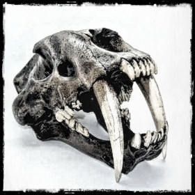 sabre-Skull-1.jpg