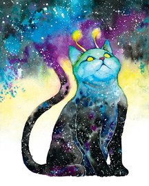 Space-cat.jpg