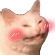 Catto-Blush.png