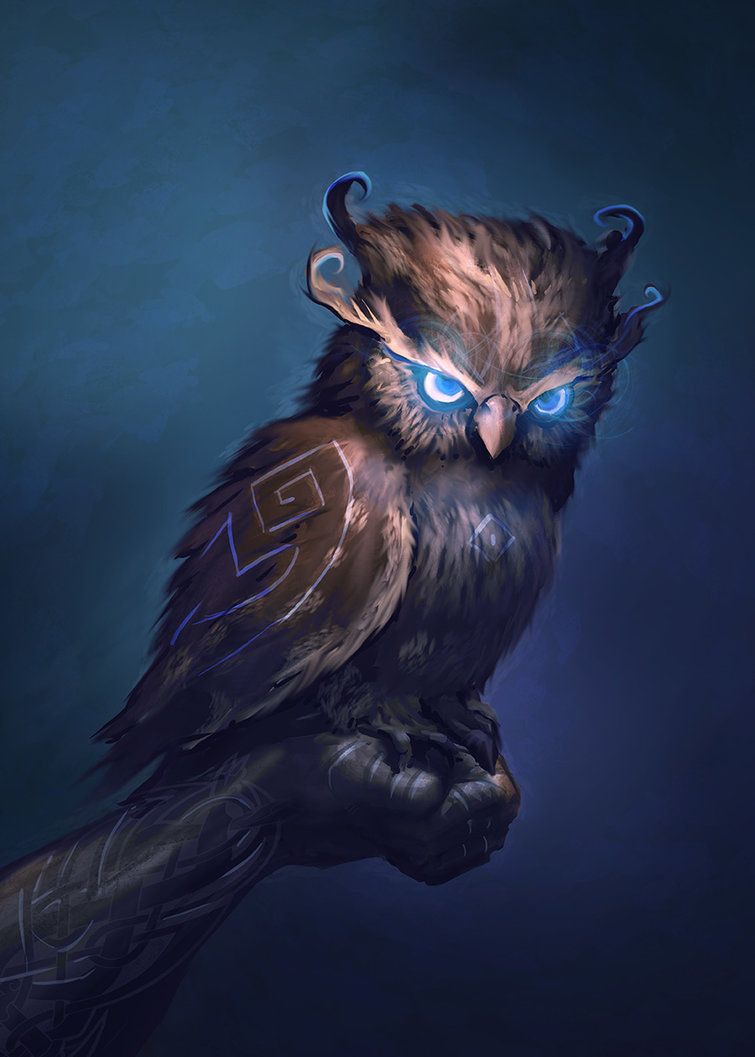 Image result for owl companion dnd