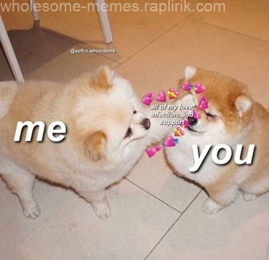 The post appeared first on Wholesome Memes. | Cute love memes, Cute memes,  Love memes
