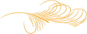 Gold-Feather-Divider.png