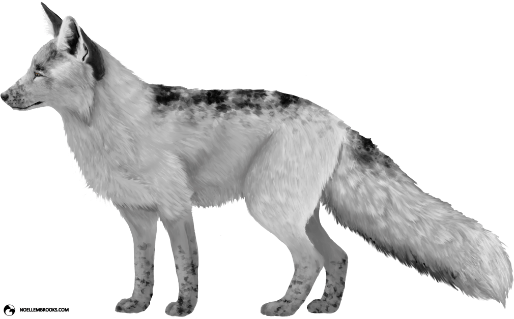 georgian-white-colored-red-fox.png