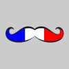 french-flag-mustache-men-s-premium-t-shirt.jpg