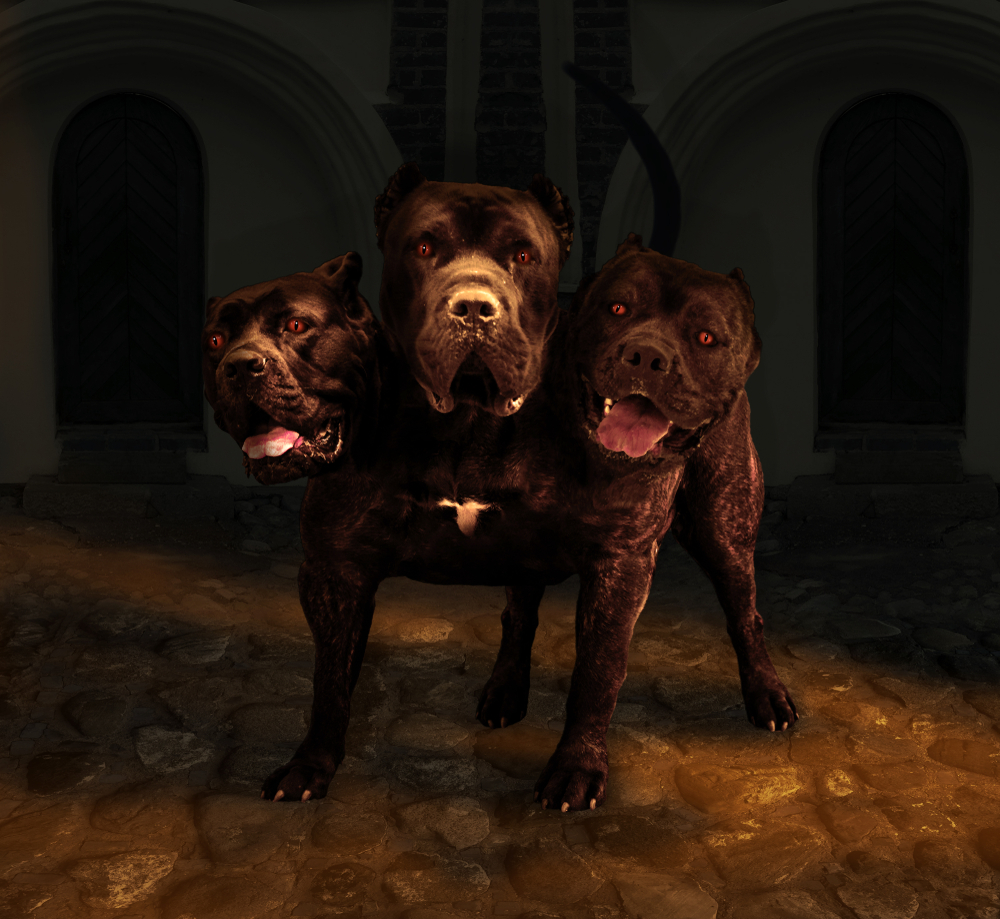 cerberus-three-headed-dog.jpg