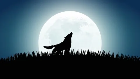 wolf-howling-and-moon-rising-footage-136517041_iconl.jpeg