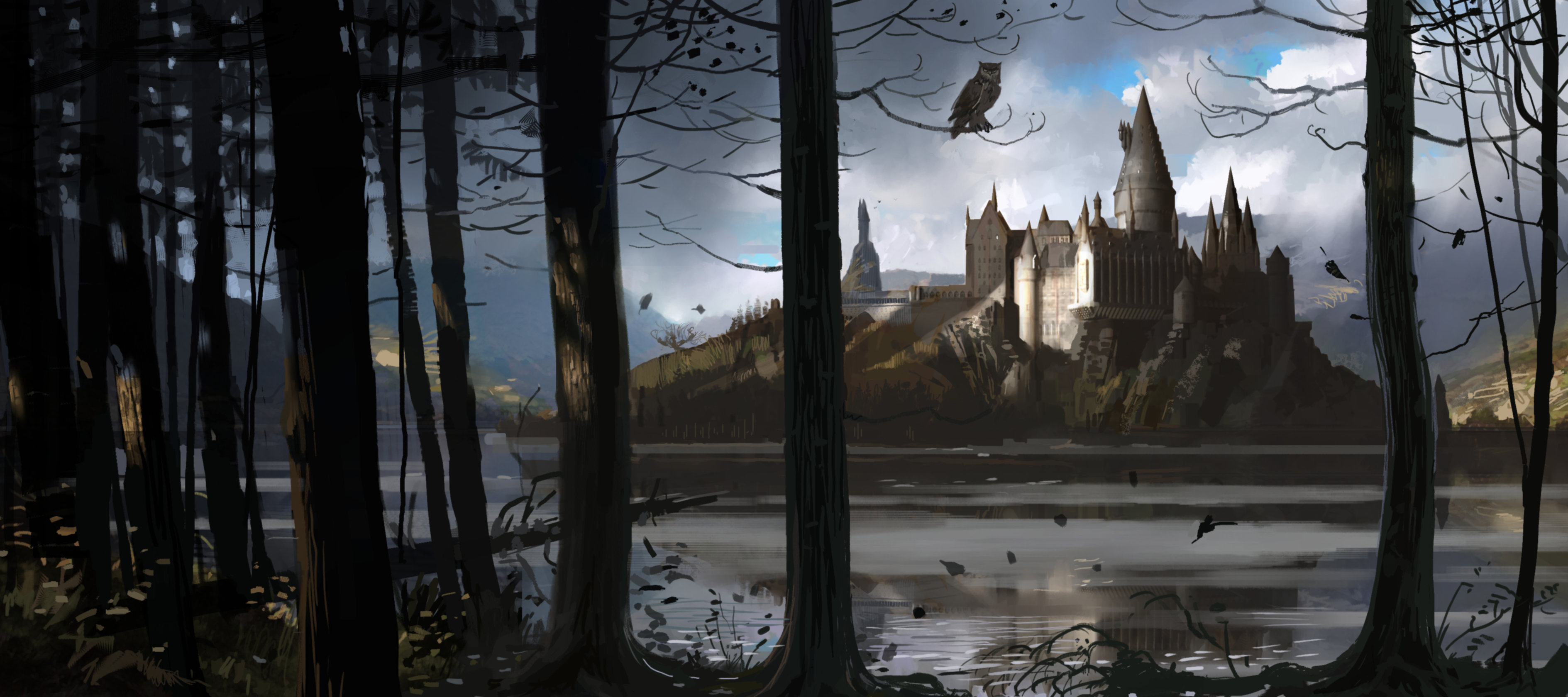 HogwartsCastle_WB_F4_HogwartsThroughTheTrees_Illust_100615_Land.jpg