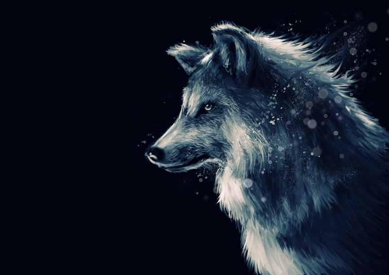 wolf_by_delun.jpg