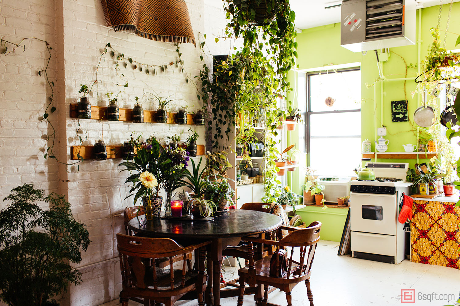Summer-Rayne-Oakes-Plant-Filled-Apartment-in-Williamsburg-Brooklyn-kitchen.jpg