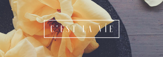 canva-french-flower-tumblr-banner-MABYzzTmf6I.jpg