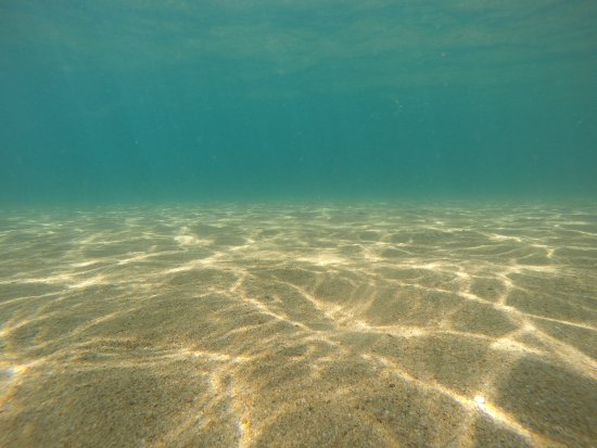 under-water-shot-while.jpg