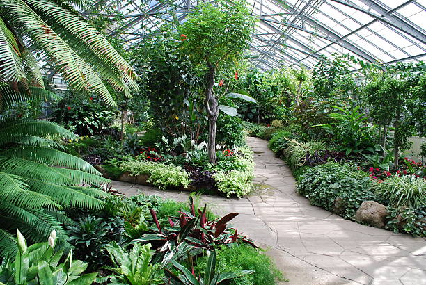 tropical-green-house-garden-in-toronto.jpg