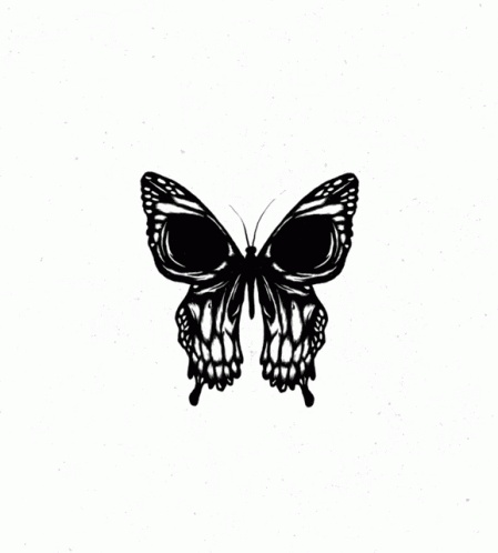 butterfly-love.gif