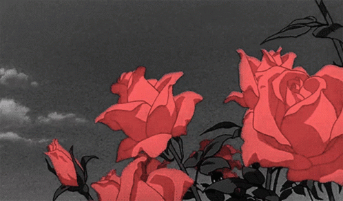 roses-anime.gif