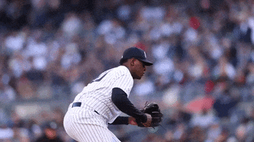 Yell Lets Go GIF by MLB
