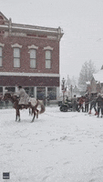 Let It Snow GIF by Storyful