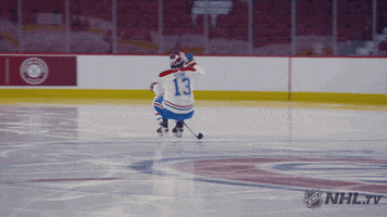 fall over ice hockey GIF by NHL