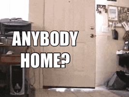 Kids Anybody Home GIF by Pirate's Parley