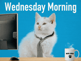 Tired Wednesday Morning GIF by GIPHY Studios 2021