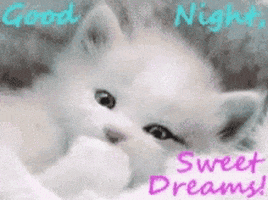 Sweet Dreams GIFs - Get the best GIF on GIPHY