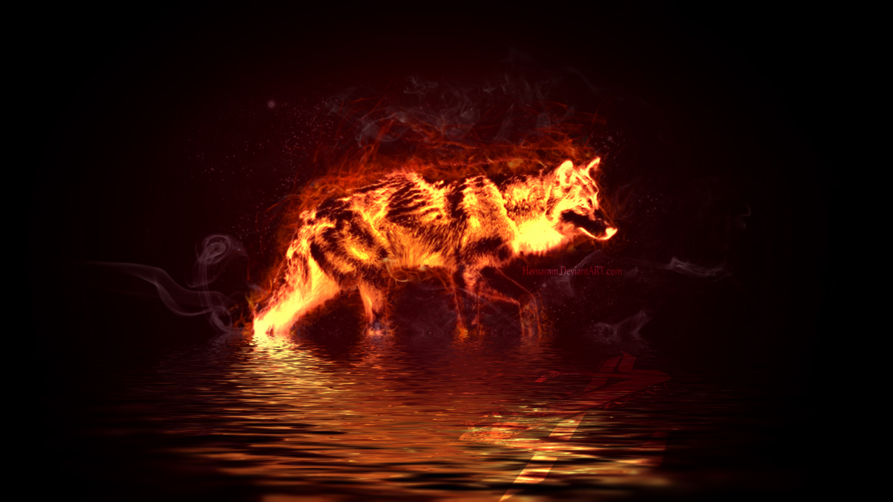 fire_wolf_by_hemamm-d64vdw8.jpg
