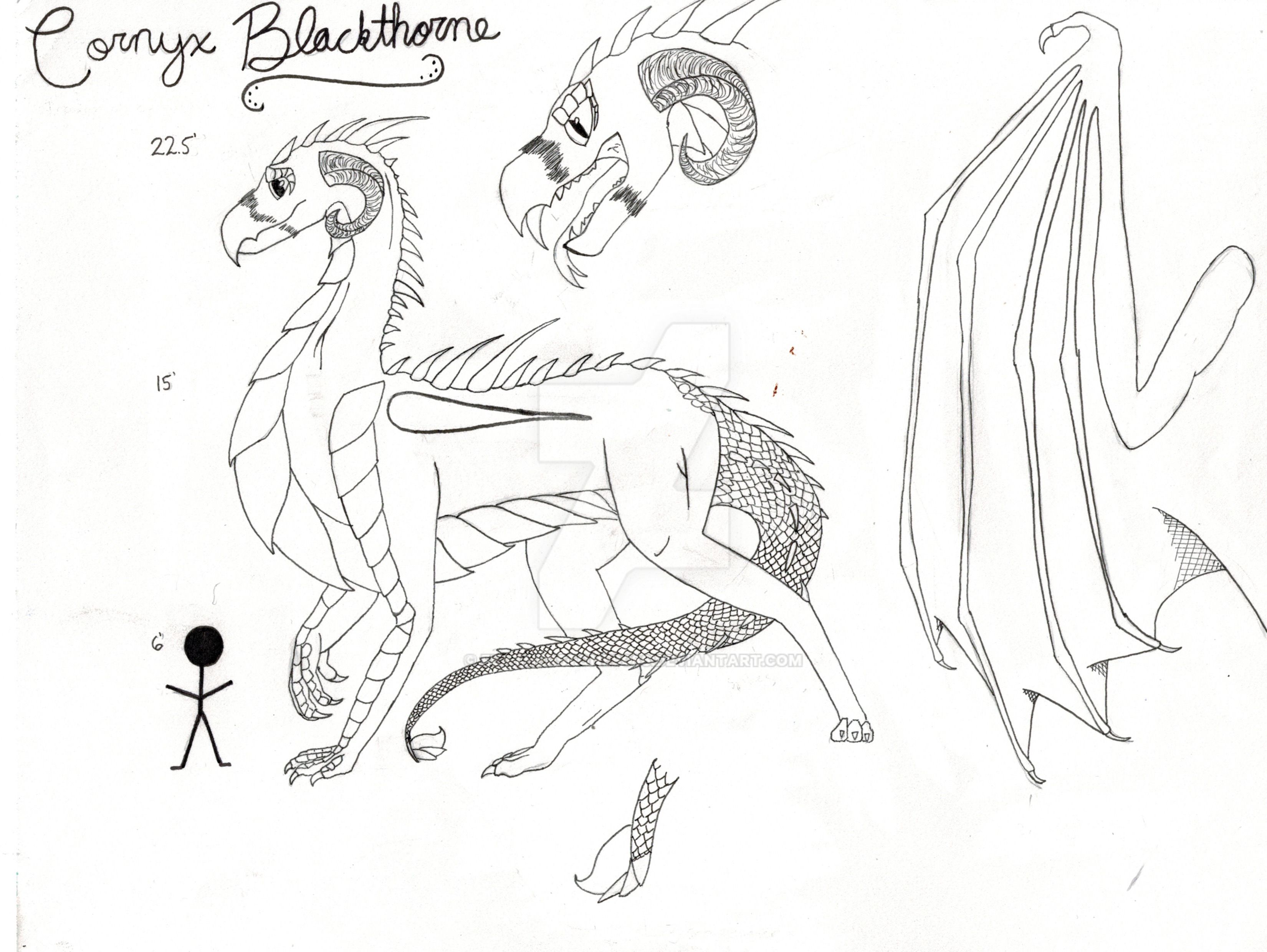 cornyxblackthorndragonformlinedrawing_by_featherstone9086-dcz6g8e.jpg