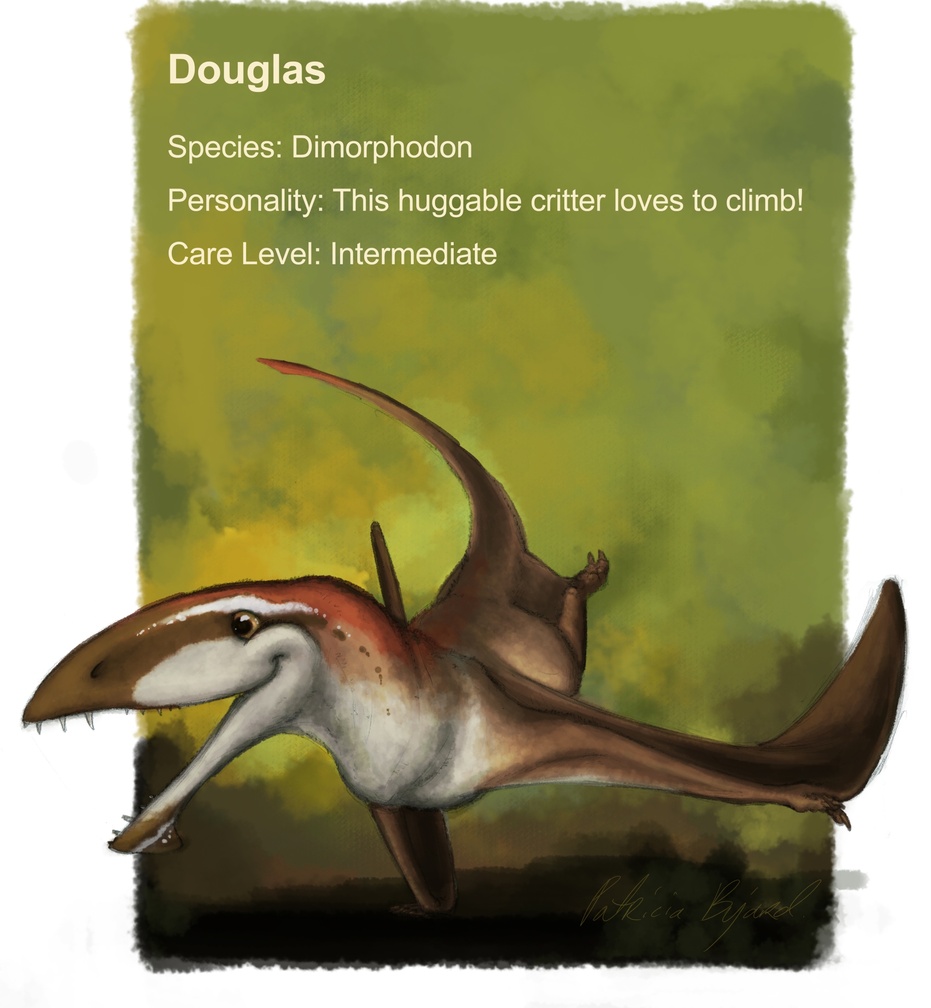 douglas-profile-update_website.jpg