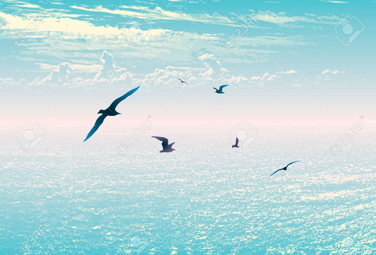 28465790-sea-sky-landscape-birds-summer-travel-horizon.jpg