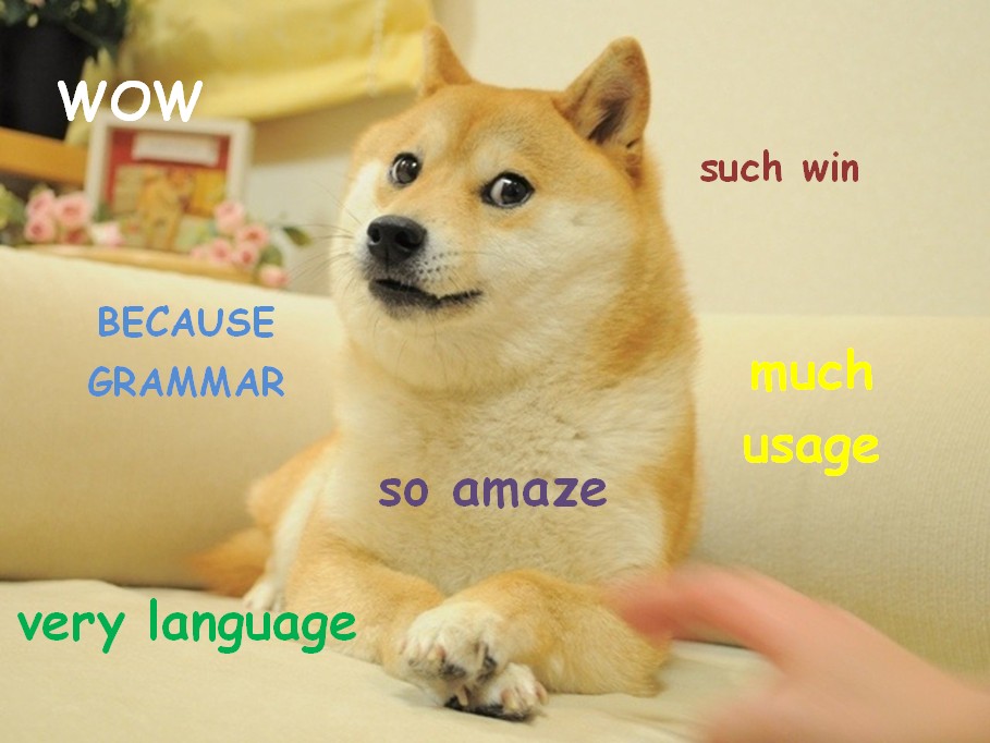 stan-carey-doge-meme-wow-such-win-because-grammar-so-amaze-much-usage-very-language.jpg